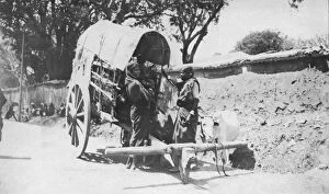 Images Dated 12th May 2015: RSR 2 / 6th Battalion, Typical Mysore Girls with Bullock Cart