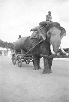 Images Dated 22nd May 2015: RSR 2 / 6th Battalion, Water cart, Palace grounds, Mysore