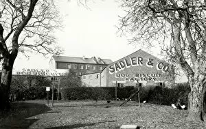 Images Dated 19th January 2012: Sadler & Co. Chichester, 1935
