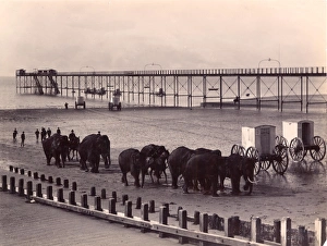 Sangers Circus at Bognor, c 1890