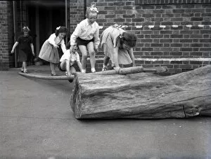 Images Dated 17th September 2014: School children on a log at Lancastrian Infants School, Chichester, May 1956