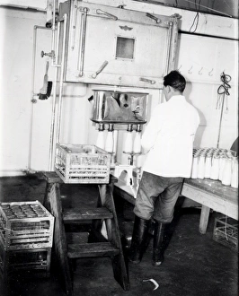 Shaxson Dairy at Elstead - June 1938