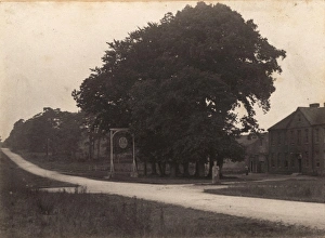 Sheffield Green, 1906