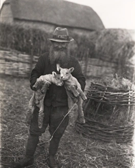Shepherd at Angmering holding two lambs, February 1934
