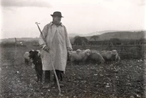shepherd wearing smock dog sheep january 1925