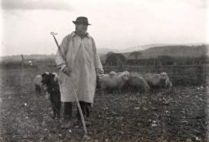 shepherd wearing smock dog sheep january 1925