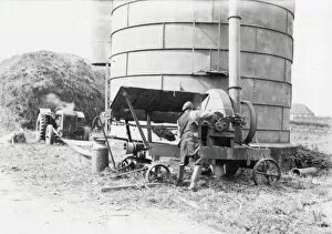 Images Dated 16th March 2015: Silo filling with Maize - September 1939