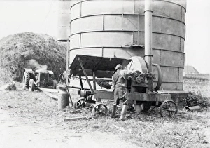 Silo filling with Maize - September 1939