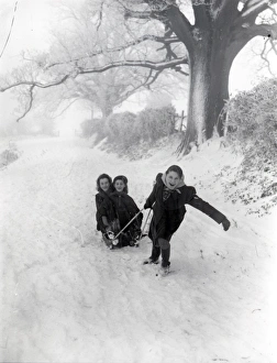 Snow scene, tobogganing around Sheep Downs, Sussex