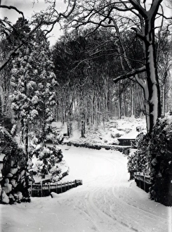 Lane Prints: Snow scene, Upperton Way - February 1940