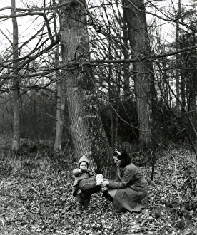 Snowdrop picking at Burton Rough, Petworth - 11 February 1948