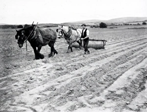 Soanes Farm Petworth - 5 June 1945