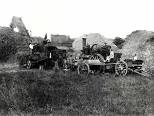 Images Dated 19th January 2012: Steam threshing, 1931