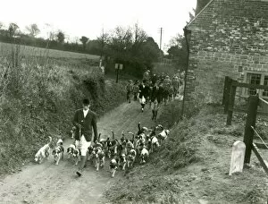 Images Dated 3rd October 2014: Storrington Beagles Meet, Fittleworth, March 1938