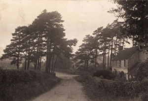 John Fletcher Collection - 'Wanderings In Sussex' Prints: A street in Sedlescombe, 1908