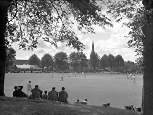 Summers day scene of cricket in Priory Park, Chichester Summers day scene of cricket in Priory Park, Chichester