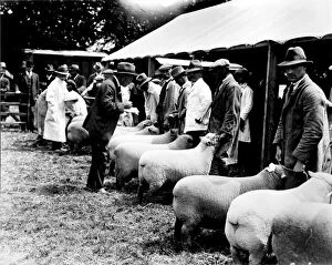 Images Dated 19th January 2012: Sussex County Show at Horsham, 20 June 1928