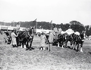 Sussex Show - 1938