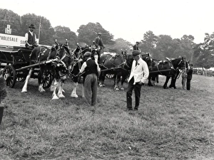 Sussex Show, Chichester