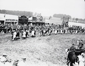 Sussex Show, Cowdray - 1938 Sussex Show, Cowdray - 1938