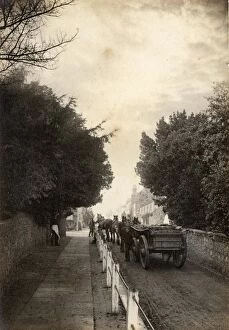 Images Dated 9th October 2012: A team of horses pulling a cart up a street in Winchelsea, 6 November 1890