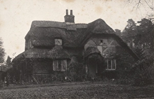 Building Prints: A thatched cottage in Midhurst, c1900