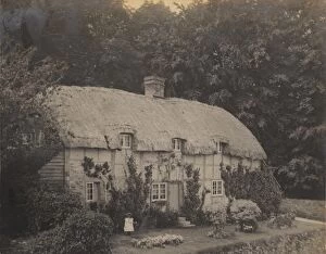 Images Dated 12th December 2012: A thatched cottage in South Harting, 1902