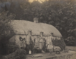 Heritage Prints: A thatched cottage in South Harting, 1902