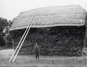 Thatched Haystack – 15 November 1945 Thatched Haystack – 15 November 1945