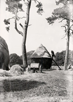 West sussex record office/george garland/thatching rick cowdray september 1939 West sussex record office/george garland/thatching rick cowdray september 1939