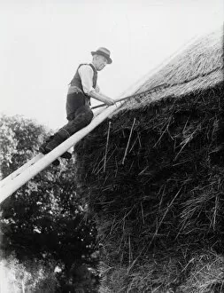 Images Dated 14th May 2015: Thatching a rick at Fittleworth - October 1945