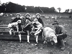Triplets - November 1938