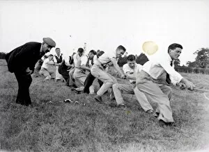 Images Dated 16th March 2015: Tug of War at Sutton Flower Show - August 1939