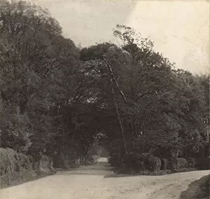Images Dated 30th May 2013: The Upper Brighton Road in Shoreham, 1897