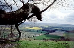 David Johnston Collection: View from Chanctonbury Ring, near Steyning