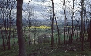David Johnston Collection: View looking north from Chanctonbury Ring, near Steyning