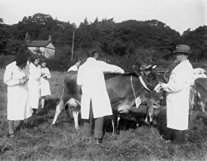 Field Prints: West Grinstead Ploughing Match