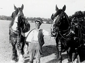 West Grinstead Ploughing Match - about September 1938 West Grinstead Ploughing Match - about September 1938