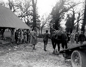 Agriculture Prints: Womens Land Army Proficiency Tests at Brinsbury - February 1944