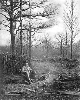 Norman Prints: Woodcutting scene, c 1880
