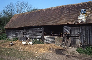 Tiled Roof Prints: Wooden barn at Selscombe Farm, Fox Hill near Petworth, West Sussex