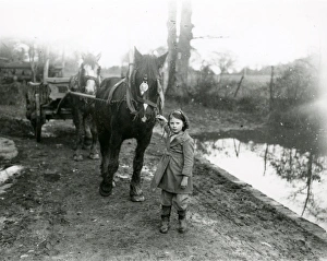 Wellington Boots Prints: Young girl guiding horses and cart, February 1938