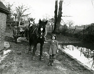 Field Prints: Young girl leading two horses and a cart, February 1938