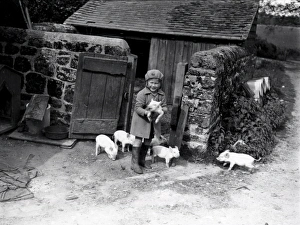 Young girl with piglets - May 1938
