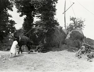 Images Dated 8th March 2013: Two young ladies observing the haymaking at Ebernoe, Kirdford, July 1935