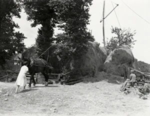 Two young ladies observing the haymaking at Ebernoe, Kirdford, July 1935 Two young ladies observing the haymaking at Ebernoe, Kirdford, July 1935
