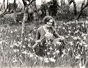 Images Dated 28th January 2013: Young lady gathering narcissi