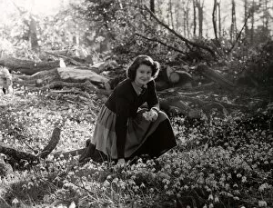 Images Dated 7th June 2012: Young lady picking snowdrops