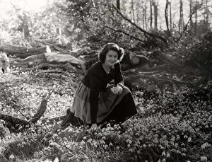 Young lady picking snowdrops